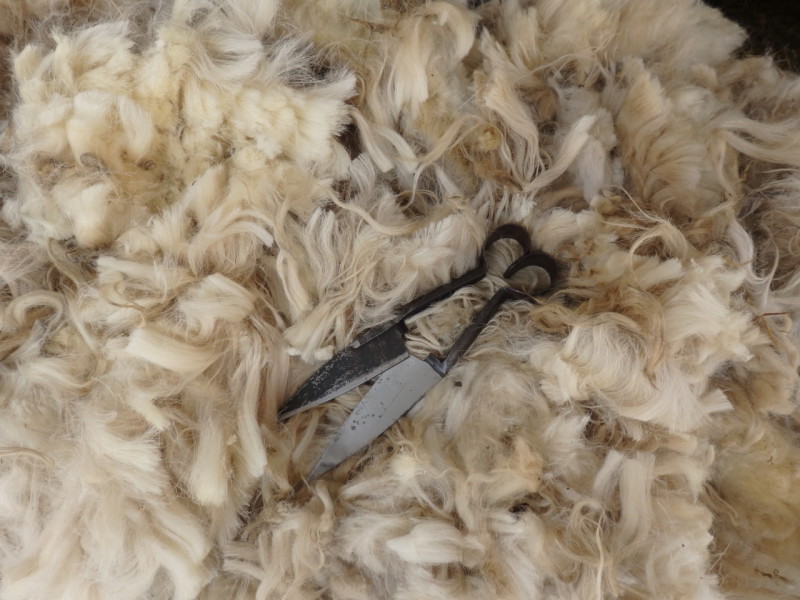 Wool beautiful natural material